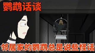 【细思极恐丨鹦鹉话谈】隔壁鹦鹉总是说着奇怪的话，它到底是看到了什么，才会说出这样的话？