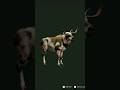 I Got a Piebald Moose on the Second day of the Great One Grind | theHunter Call of the Wild #shorts