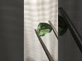 2.90 ct Natural Untreated Tsavorite Garnet