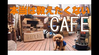 【flat9cafe】と言う本当は教えたくないオーガニックコーヒーとヴィーガンランチのCAFEにワンコと行ってみた