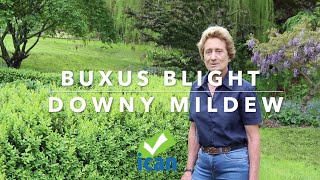 Buxus Blight \u0026 Downy Mildew - GardenBarn Masterton