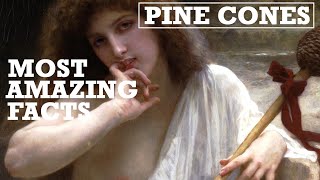 Top 5 Most Amazing Facts About Pine Cones