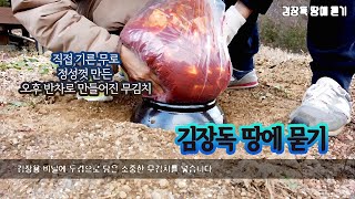 김장김치 항아리에 담아 땅에 묻기 - 김치냉장고와 땅에 묻는것 중 어떤 것이 더 맛있을까?