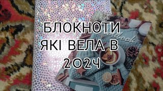 ОБЗОР НА БЛОКНОТИ ЯКІ Я ВЕЛА В 2024/  Обзор на особистий щоденник + коментарі ✨🎀 частина 1