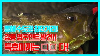 [FTV 미스터리원투] 강릉 원투낚시 주문진 원투낚시 - 수도권에서 2시간대 주파! 강릉 명포인트 발견!! 특효미끼는 **다!