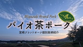 宮崎ブランドポーク個別銘柄紹介＃８【バイオ茶ポーク】