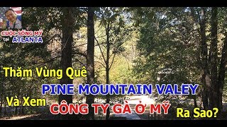Thăm Vùng Quê Pine Mountain Valey và Xem Công Ty Gà Ở Mỹ Ra Sao I Cuộc Sống Mỹ