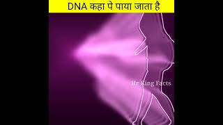 DNA किस चीज से बनता है ? डीएनए कहां पाया जाता है  DNA KAISE BANTA HAI BY HR KING FACT