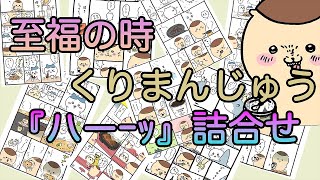 【ちいかわ】至福、くりまんじゅう詰合せ【ナガノワールド】