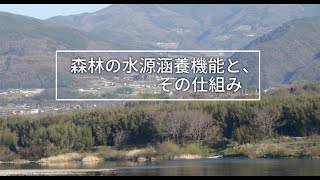 「森林の水源涵養機能と、その仕組み」