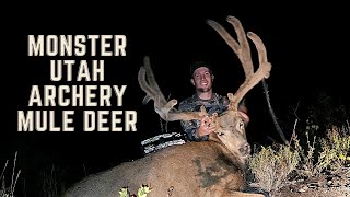 Absolute GIANT General Season Utah Archery Mule Deer