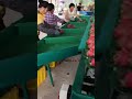 checkweigher with sorting machine for fruit