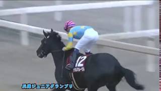 【園田競馬】兵庫ジュニアグランプリ2018　レース速報