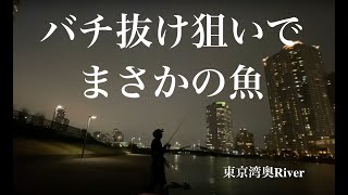 2月終わり、バチ抜け狙いでシーバス ではない‼️50アップの魚が釣れた‼️【東京湾奥】Tokyo fishing