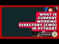 What Is Current Working Directory (CWD) In Python? - Python Code School