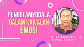 Fungsi Amygdala Dalam Kawalan Emosi  Siri 17 Pengurusan Emosi