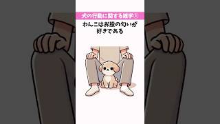 犬が大好きな匂いまとめ【わんこ雑学】#豆知識 #犬のいる生活 #雑学