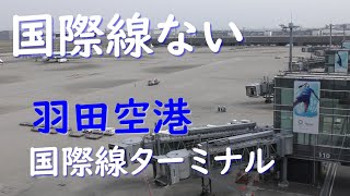 国際線ない／2020年3月22日撮影：欠航が相次ぐ羽田空港国際線ターミナルの様子