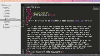 What is HTML Character Entity References