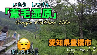 シングルファザーと行く、愛知豊橋の癒し「葦毛湿原」←いもうしつげんこちらへ行ってきました。どうぞご視聴お願いします。