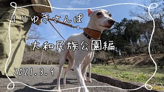 りりゆきさんぽ〜大和民族公園編〜