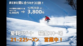 猫魔スキー場　21-22シーズン営業中！カケコミ割は12月26日まで！