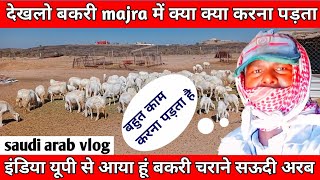 the goat life देख़लो सऊदी कफील क्या क्या काम करवाता है||Saudi Arabia goat farm|majra vlog#bakarivlog