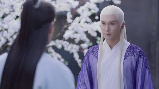 心机女坑害凤九被恶惩，竟是帝君暗戳戳为凤九出气！🦊Chinese Drama【三生三世枕上书 Eternal Love of Dream】