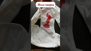 Тест менструальных трусиков Onest Wear