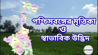 পশ্চিমবঙ্গের মৃত্তিকা ও স্বাভাবিক উদ্ভিদ (Soil and Natural Vegetation)