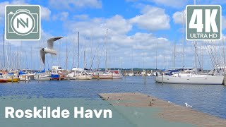 4K Virtual Walk - Roskilde Havn, Denmark - Harbour walk. Viking ships \u0026 Open Water competition🏊‍♀️