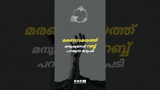 മരണസമയത്ത് മനുഷ്യനോട് റബ്ബ് പറയുന്ന മറുപടി!!! | Malayalam Islamic Speech 💌