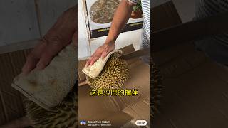 吃榴莲不热气的方法 #sabah #沙巴美食 #kotakinabalu #沙巴亚庇 #durian #duriankampung