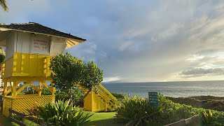 Kihei Realtor Agent Travel Update Maui Condos For Sale