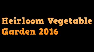 Heirloom Vegetable Garden 2016