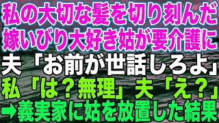 【スカッとする話】私の大切な髪を切り刻んだ嫁いびり大好き姑が要介護に。夫「お前が世話しろよ」私「は？無理」夫「え？」➡︎義実家に姑を放置した結果【修羅場】