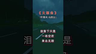 #太想念（吹着风向西东）#音乐分享#歌词句句入心