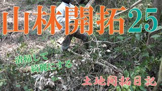 【おうち時間過ごし方】山林開拓　倒木周辺を清掃して綺麗にする　土地開拓日記25