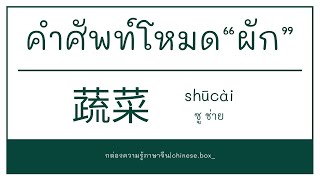 คำศัพท์ภาษาจีนโหมด“ผัก”｜蔬菜词汇