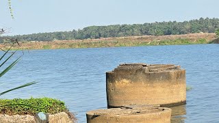 Scenic Drive Along Bharatha Puzha: Kerala's Hidden Gem 🚗💨