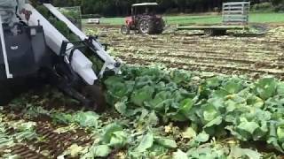 キャベツ収穫機 JAPAN Agriculture Technology