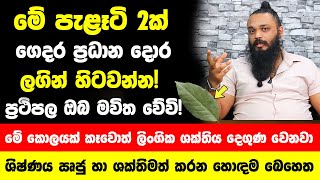 මෙන්න මේ විශ්මිත පැළෑටි 2ක් ගෙදර ප්‍රධාන දොර ලගින් හිටවන්න! - ලැබෙන ප්‍රථිපල වලින් ඔබ මවිත වේවි!