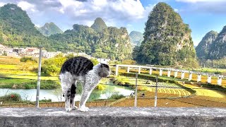 摩旅228国道的第116天，沿途每个村都集聚在一起玩一种从没见过的活动