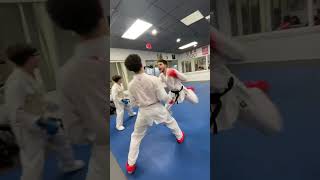 Kihon Kumite WKF karate training