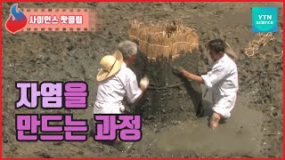 우리나라 전통방식의 소금, 자염 / YTN 사이언스