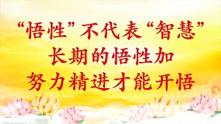 卢台长【节目录音】“悟性”不代表“智慧”，长期的悟性加努力精进才能开悟