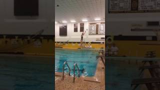 Wm Sectionxi 11 dive meet 2016(1) Zoe 402c