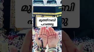 നബി തങ്ങൾ പറഞ്ഞു #islamicstatus #malayalam #viralvideo #