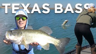 Fishing for GIANT Spawning Bass in Texas