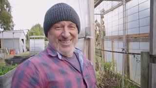 Harvesting My Celeriac